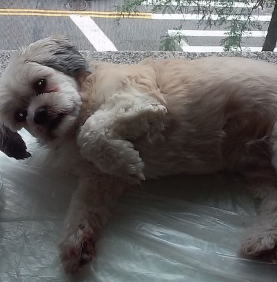 Meet your Posher, Maria - Picture 1 of 1